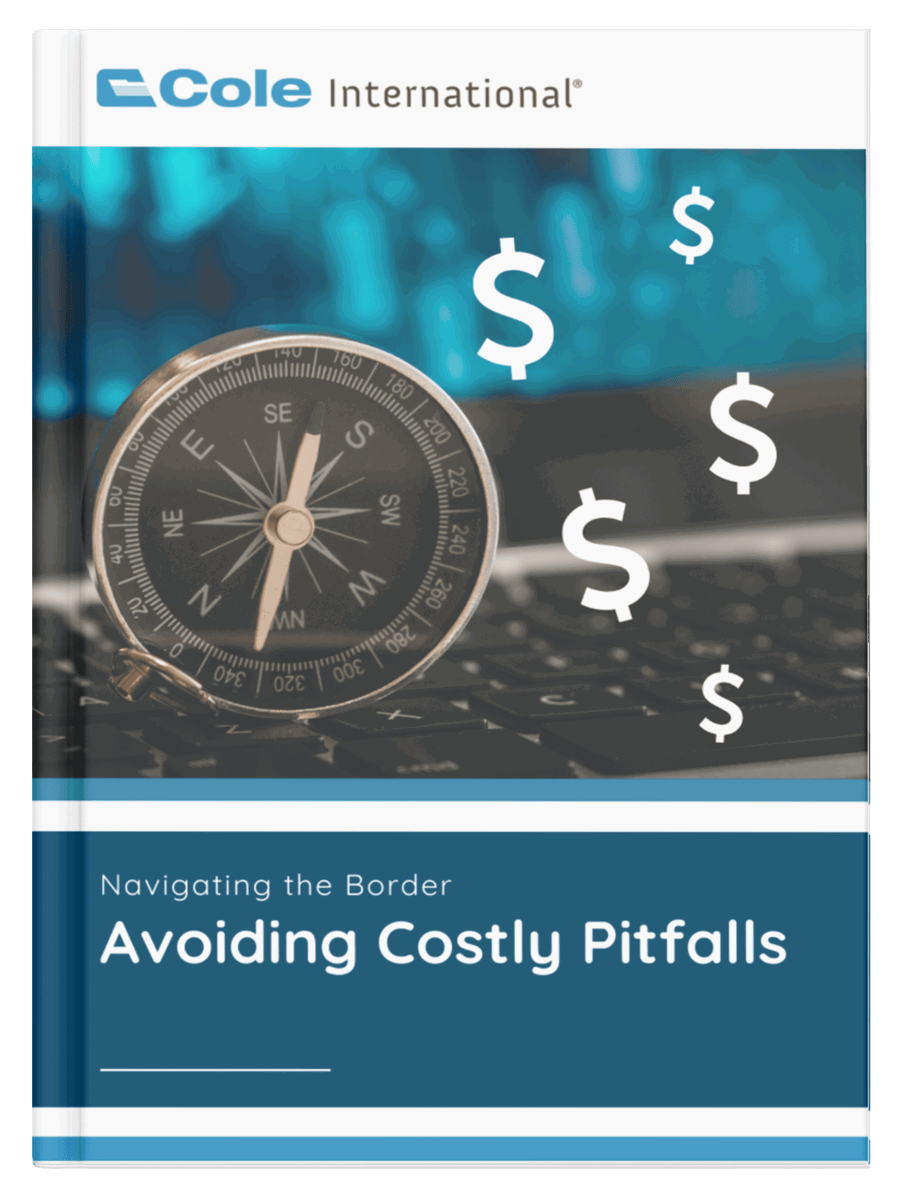 Navigating the Border - Avoiding Costly Pitfalls