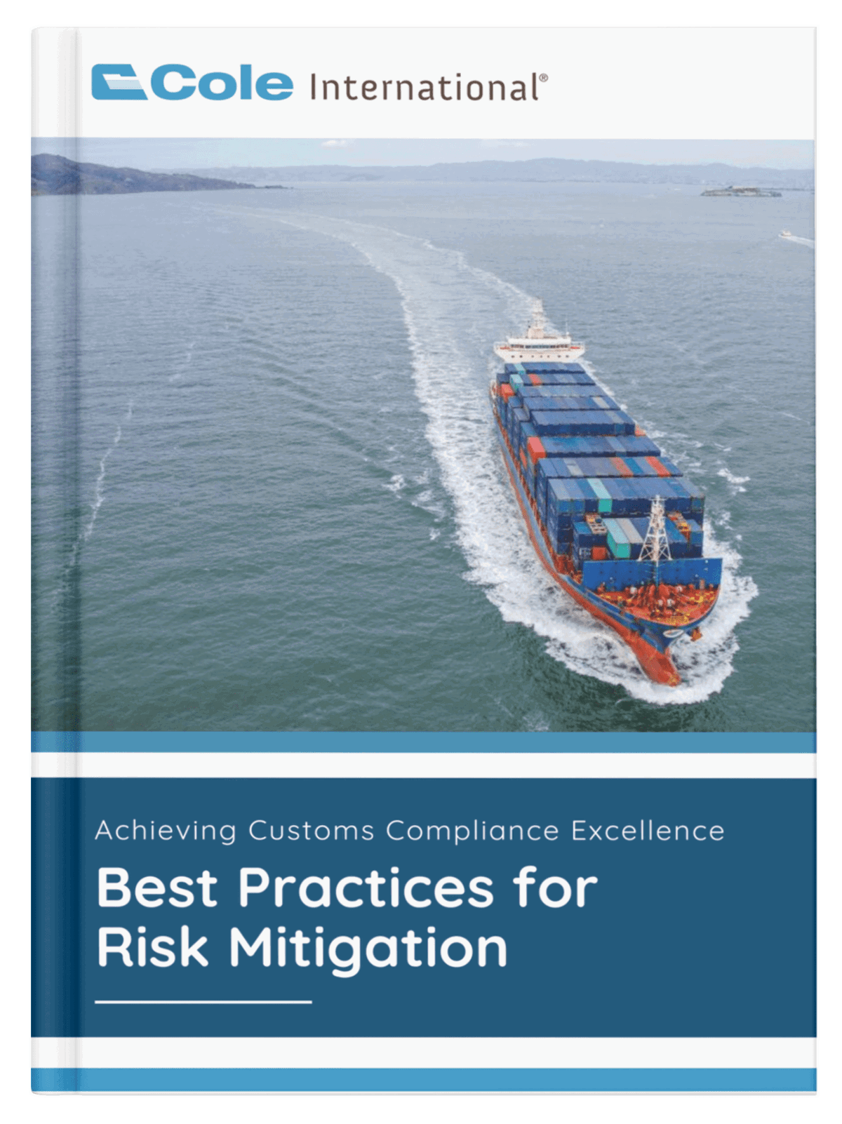 Achieving Customs Compliance Excellence - Best Practices for Risk Mitigation